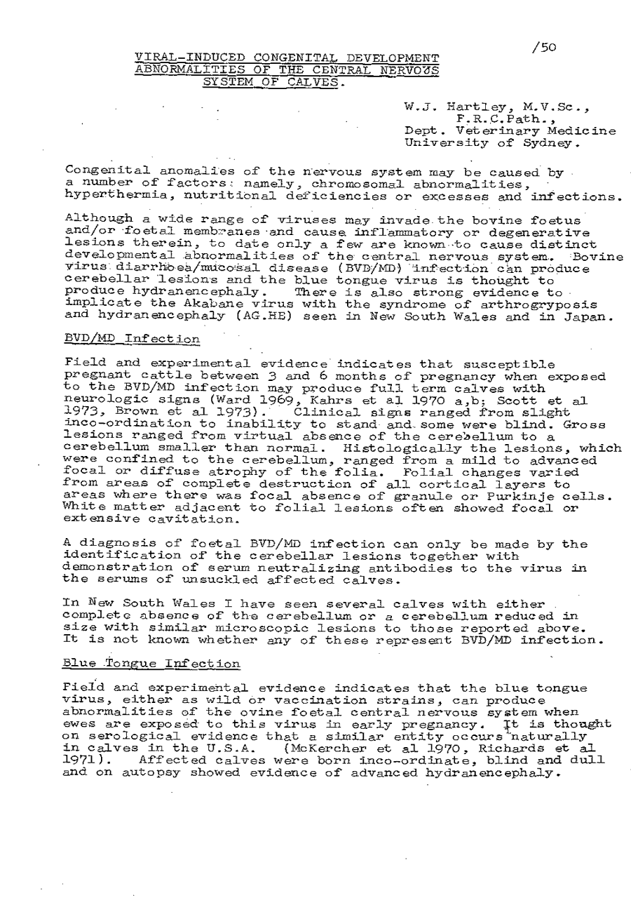 1975 page 50